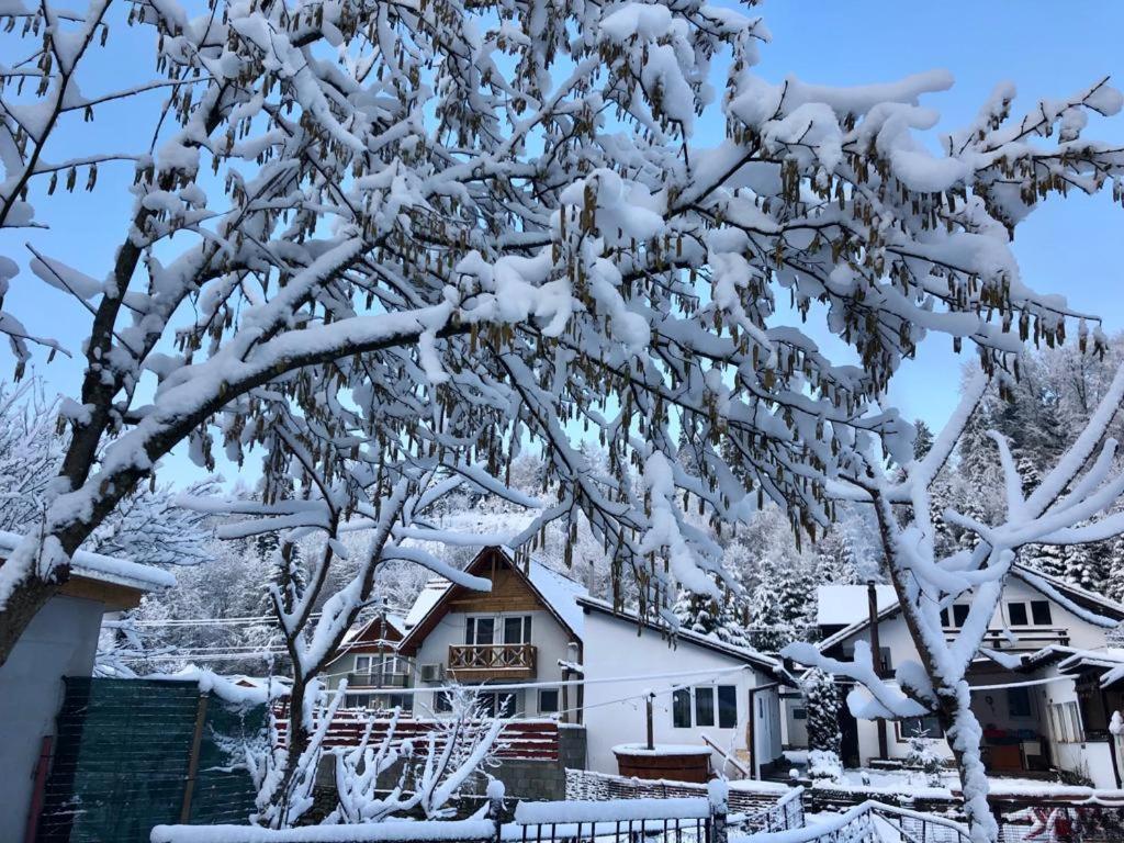 Vila Podul De Brazi - Fir Bridge Cîrţişoara Exteriér fotografie